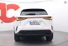 Lexus NX 450h+ AWD Luxury Thumbnail 4